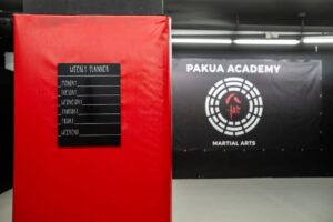 pakua_016