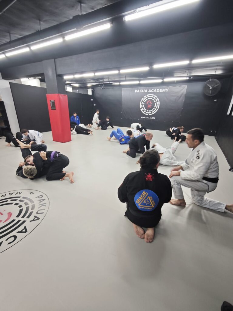 pakua_jiujitsu_seminario_010
