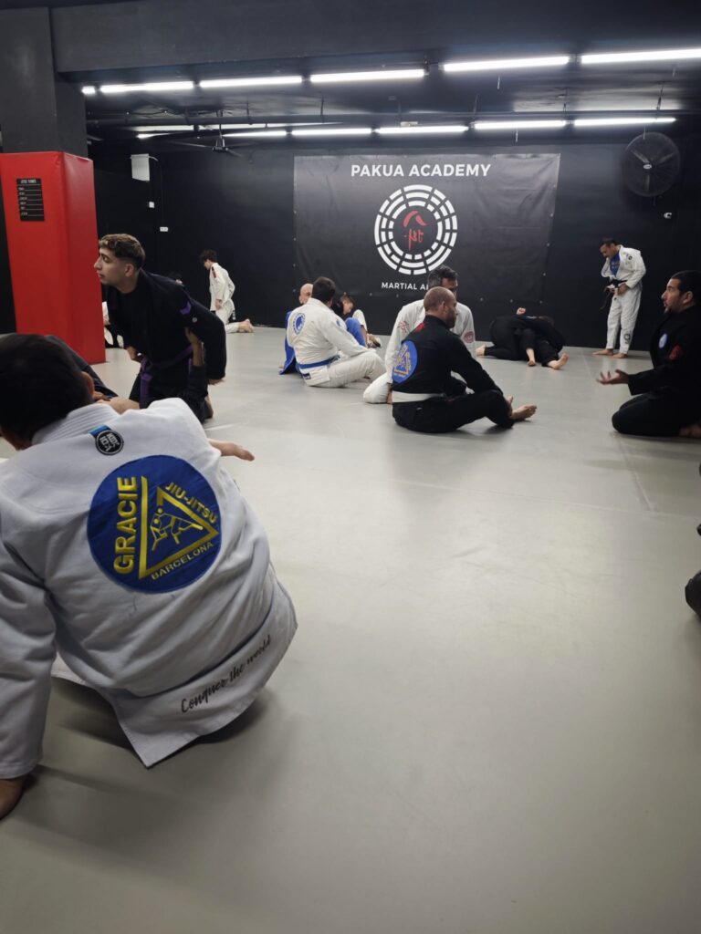 pakua_jiujitsu_seminario_013